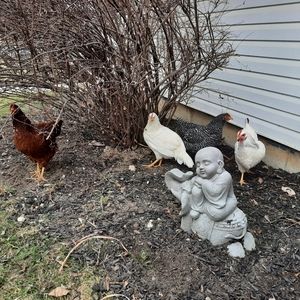 Meet your Posher, Carmen